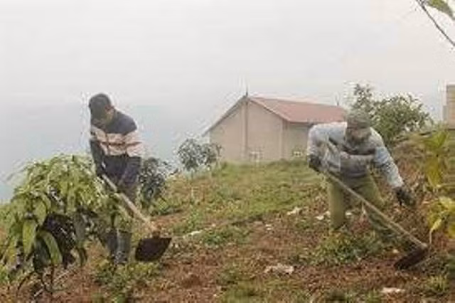  Đem kiến thức học được từ giảng đường để bắt tay vào nghiên cứu đặc điểm của địa phương. Ảnh minh họa.