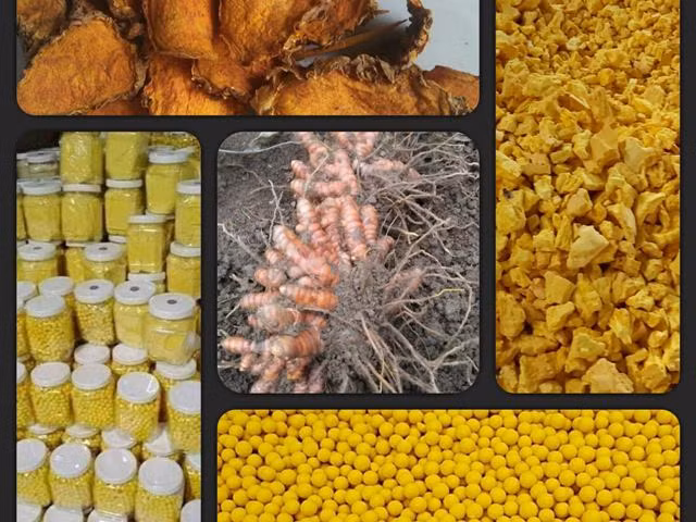 Sản phẩm tinh bột nghệ từ đầu vào đến đầu ra của Nguyễn Ngọc Hanh.