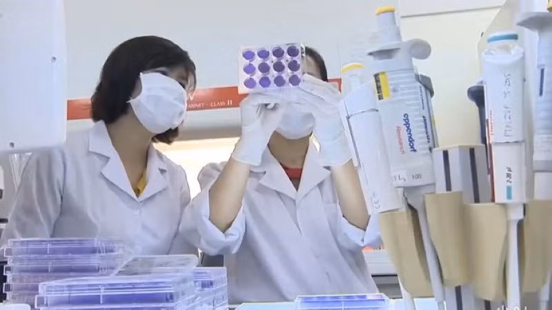 Vắc-xin phòng Covid-19 của Việt Nam dự kiến được thử nghiệm trên người vào cuối năm nay. Ảnh: Thuý Anh