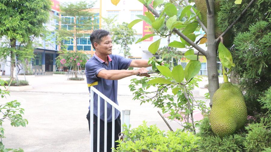 Khuôn viên vườn trường luôn được đảm bảo không gian xanh và chăm sóc thường xuyên. Khuôn viên vườn trường luôn được đảm bảo không gian xanh và chăm sóc thường xuyên.