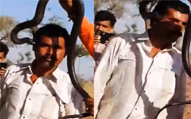 15 câu chuyện chứng tỏ chết vì chụp ảnh tự sướng là cái chết ngớ ngẩn nhất trần đời - Ảnh 9.