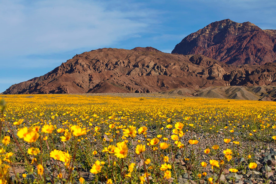 Da tu di chuyen, ca quy va nhung dieu it biet o Thung lung Chet hinh anh 3 