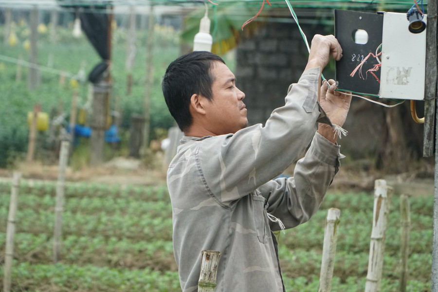 Quá trình chăm sóc hoa không thể thiếu hệ thống điện sáng.