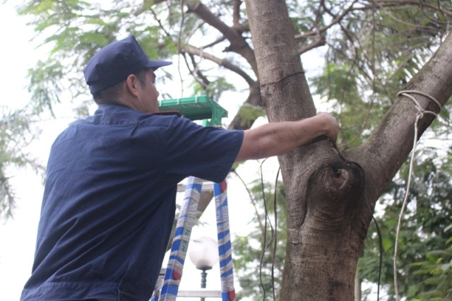 Những dây điện thừa bao quanh phố đi bộ được gỡ bỏ