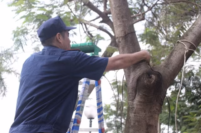 Những dây điện thừa bao quanh phố đi bộ được gỡ bỏ