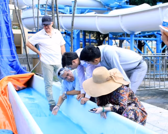 Chuyên gia Tây Ban Nha đang tiến hành khảo sát đánh giá toàn bộ hệ thống đường trượt tại Công viên Nước 