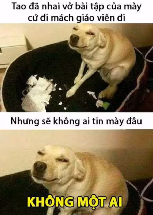 Lời thách thức từ kẻ phá hoại. Lời thách thức từ kẻ phá hoại.