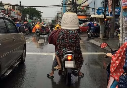 Mũ bảo hiểm chậu cây. Mũ bảo hiểm chậu cây.