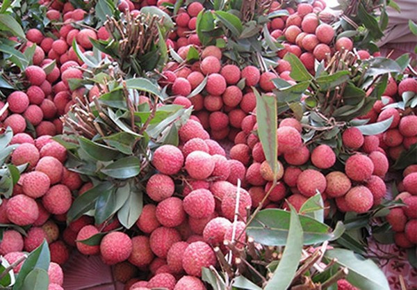 Ăn vải, bạn nhất định phải lưu ý những điều này ảnh 5