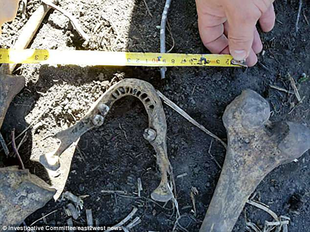 ớn lạnh,lời nói của vợ,án mạng,Nga