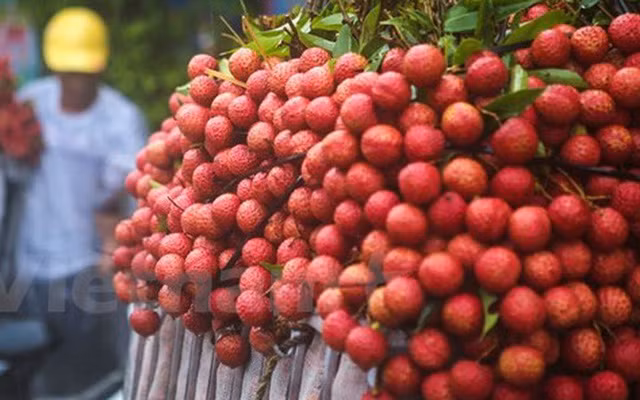 Ăn vải, bạn nhất định phải lưu ý những điều này ảnh 1