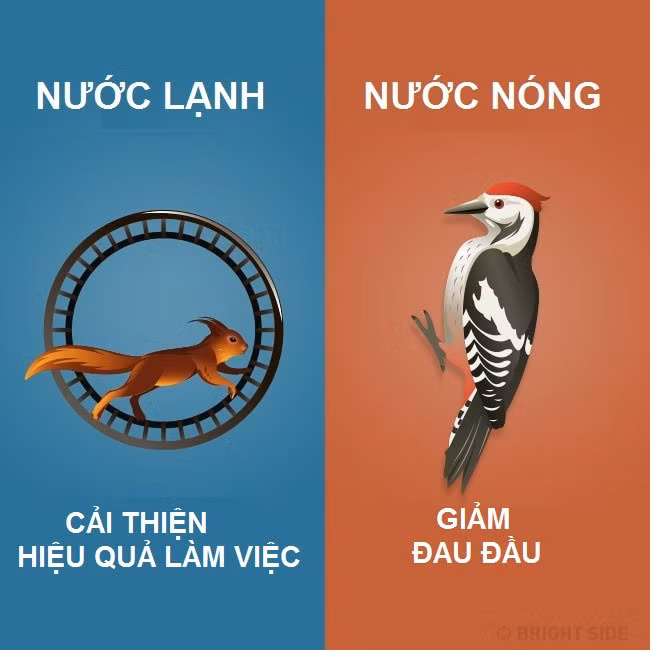 Nên tắm nước lạnh hay nước nóng? ảnh 6 6
