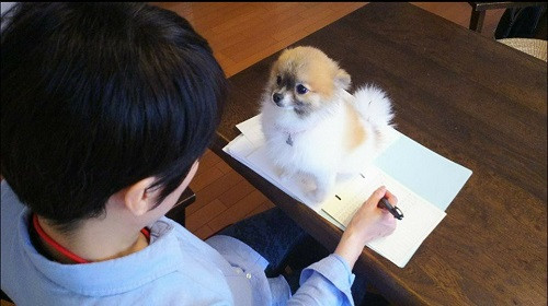 Móng tay cho các tín đồ ăn uống.