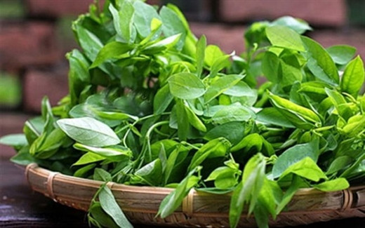 12 mẹo chữa bệnh không cần dùng thuốc cho trẻ 12 meo chua benh khong can dung thuoc cho tre