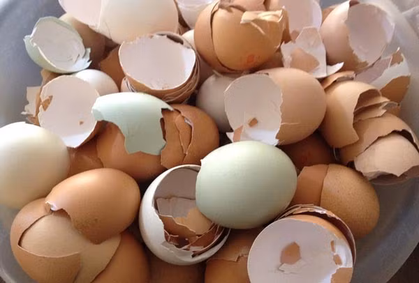 cach-lam-sach-can-trong-am-nuoc-sieu-toc-giadinhvietnam.com 2