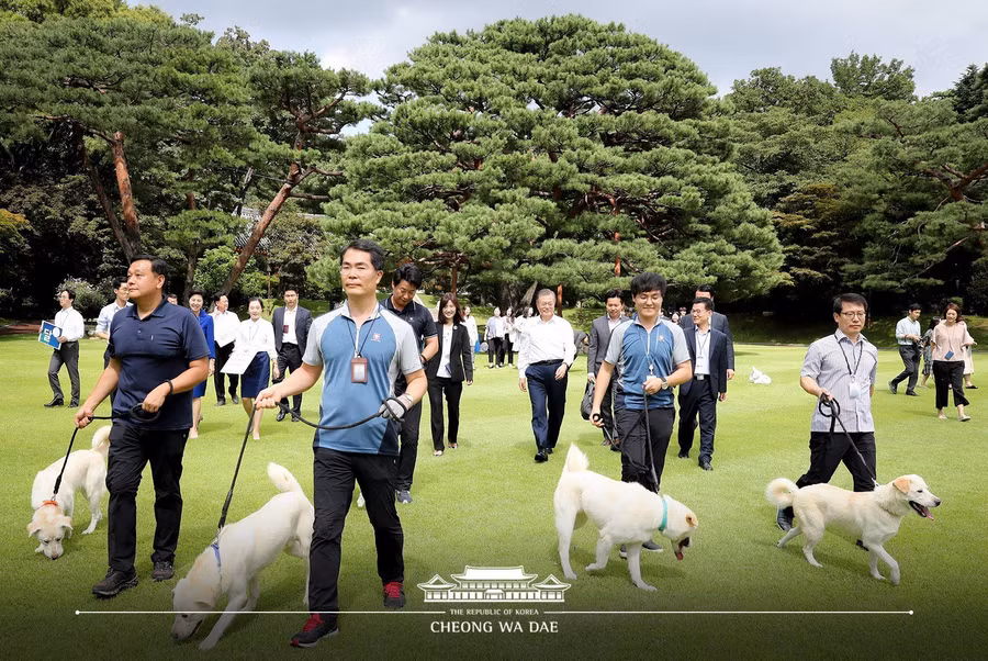 Keyword đầu tiên có dấu