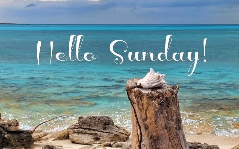 4 con giáp cầu được ước thấy, tình duyên sáng chói ngày Chủ nhật 24/9