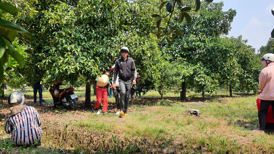 Hiện trường vụ việc. Hiện trường vụ việc.