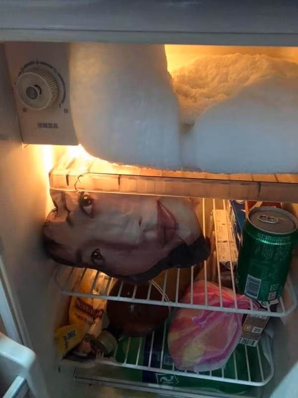 Người chồng “hú hồn” khi vừa mở cửa tủ lạnh.Ảnh: Đạt Mê Min