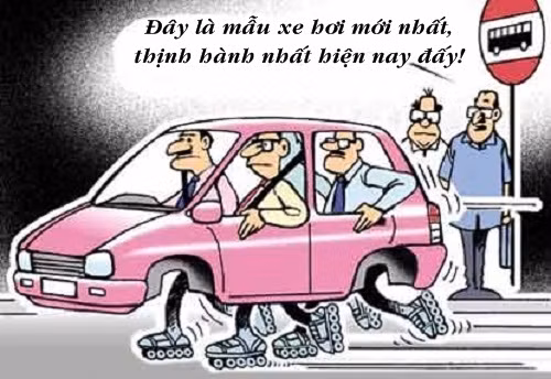 Mẫu xe hơi được ưa chuộng nhất năm 2019.