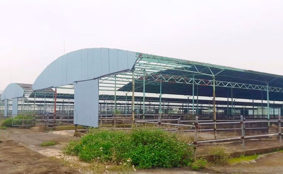 Dự án chăn nuôi bò Bình Hà nay chuồng trại bỏ hoang. Ảnh: T.G Dự án chăn nuôi bò Bình Hà nay chuồng trại bỏ hoang. Ảnh: T.G