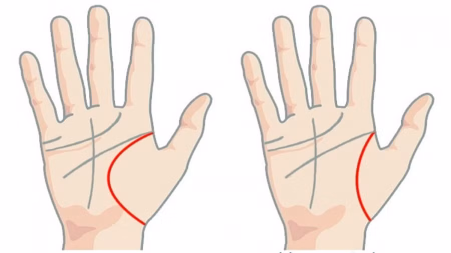 VN_15b8e36bc973ec6519ca3568t08ca5dac