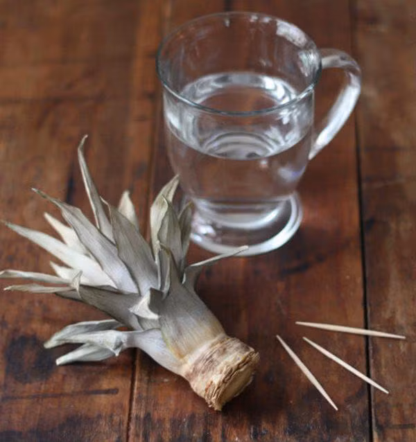 tien tay cam 3 que tam vao cuong dua, 3 ngay sau me tre ngac nhien khi thay thanh qua - 3