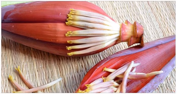 Cách làm nộm hoa chuối tai heo giòn ngon, tươi mát cả nhà đều mê ảnh 1 cach lam nom hoa chuoi tai heo gion ngon, tuoi mat ca nha deu me - 1