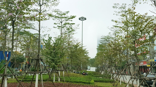 Hà Nội đã hoàn thành chương trình trồng 1 triệu cây xanh trong năm 2018