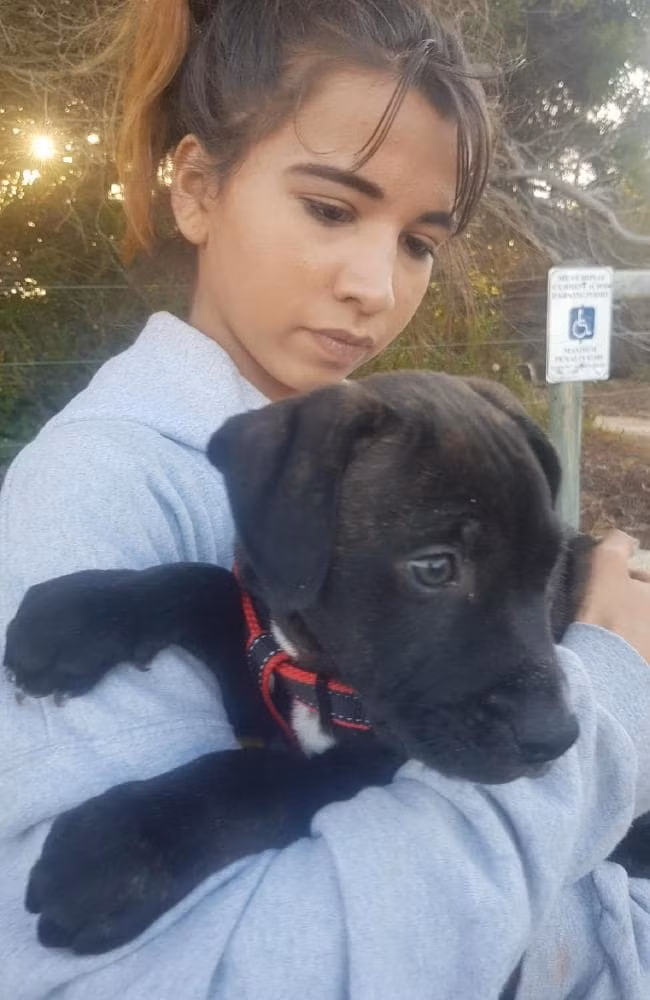 Nữ sinh 14 tuổi tự tử trong phòng riêng và lời kêu cứu trong tuyệt vọng vài giờ trước đó của em để lại nhiều suy ngẫm - Ảnh 2.