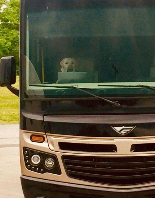 Lơ xe kiểu mới.