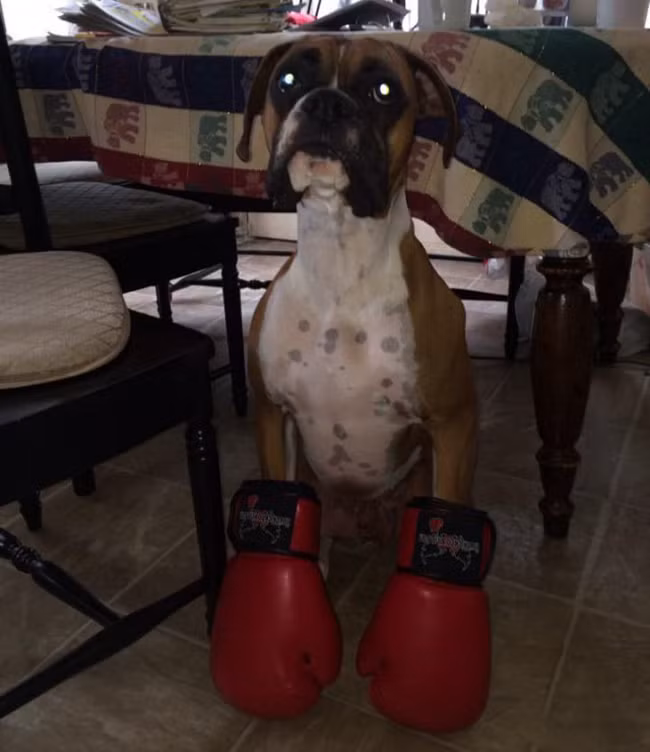 nhung con nguoi khien ta cuoi "khong ngam duoc mom" hinh anh 5