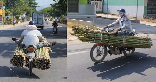 Người vận chuyển phiên bản Việt.