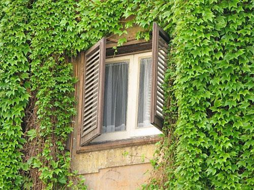 me chong &#34;chang them&#34; ngu chung phong dieu hoa khi con dau nghi ra cach chong nong, nha mat lem - 3