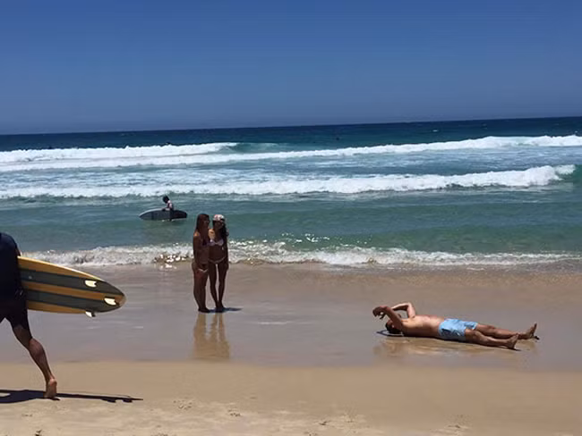 dang sau buc anh lung linh la su "hi sinh" cua cac quy ong hinh anh 14