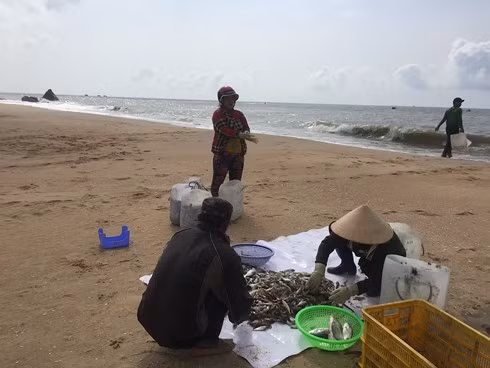 Dân bức xúc vì dự án BĐS bỏ hoang “chiếm” lối xuống biển Long Hải ảnh 3