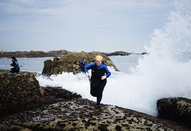 Trông gớm ghiếc như "ngón tay quỷ", ai ngờ bán 4 triệu/kg hình ảnh 7 trong góm ghiéc nhu "ngon tay quỷ", ai ngò bán 4 triẹu/kg hinh anh 7
