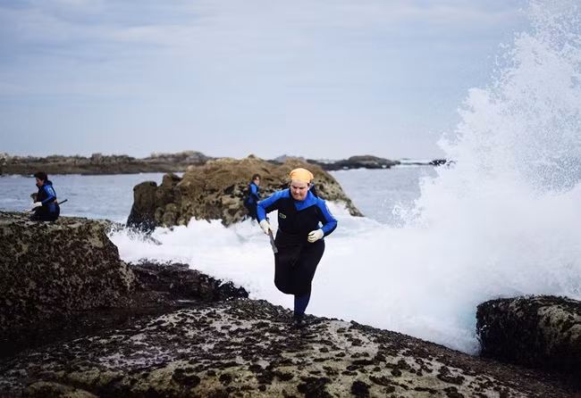 trong góm ghiéc nhu "ngon tay quỷ", ai ngò bán 4 triẹu/kg hinh anh 7