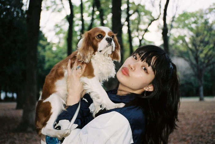 "Bông hồng lai" Nhật Bản: Từ đứa trẻ bị kỳ thị đến nàng mẫu nổi tiếng thế giới ảnh 7