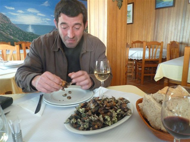 Trông gớm ghiếc như "ngón tay quỷ", ai ngờ bán 4 triệu/kg hình ảnh 11 trong góm ghiéc nhu "ngon tay quỷ", ai ngò bán 4 triẹu/kg hinh anh 11