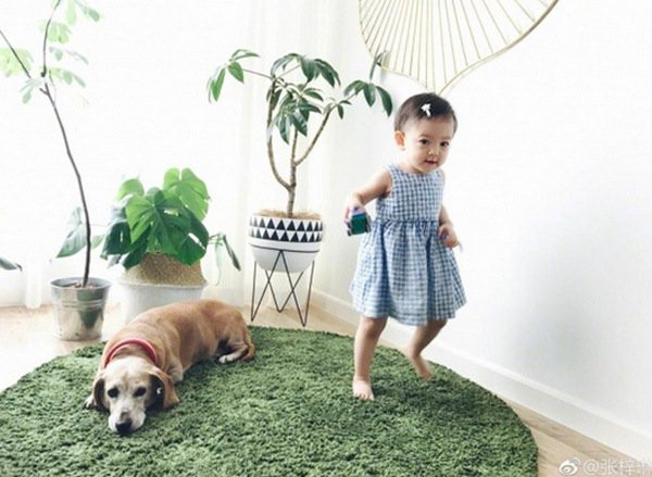 Cô bé 3 tuổi, con gái của Hoa hậu đẹp nhất thế giới gây sốt mạng, hứa hẹn là một tiểu mỹ nhân ảnh 2 la con gai cua hh dep nhat the gioi va bo "soai ca", co be 3 tuoi nay gay sot - 3