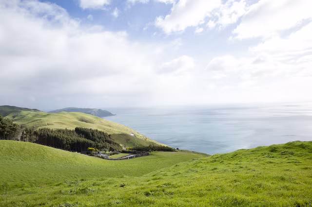 Nam sinh Việt 16 tuổi xuất sắc nhận học bổng Chính phủ New Zealand - 3