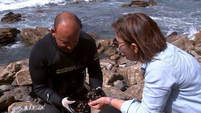Trông gớm ghiếc như "ngón tay quỷ", ai ngờ bán 4 triệu/kg hình ảnh 6 trong góm ghiéc nhu "ngon tay quỷ", ai ngò bán 4 triẹu/kg hinh anh 6
