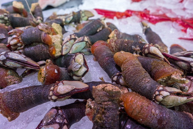 Trông gớm ghiếc như "ngón tay quỷ", ai ngờ bán 4 triệu/kg hình ảnh 12 trong góm ghiéc nhu "ngon tay quỷ", ai ngò bán 4 triẹu/kg hinh anh 12