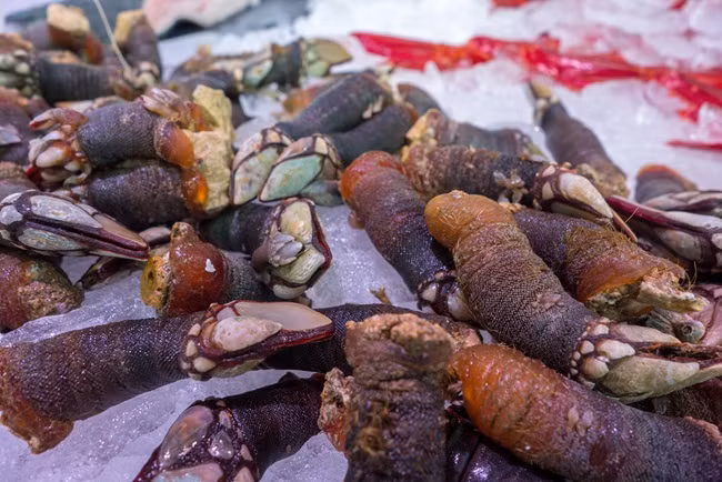 trong góm ghiéc nhu "ngon tay quỷ", ai ngò bán 4 triẹu/kg hinh anh 12