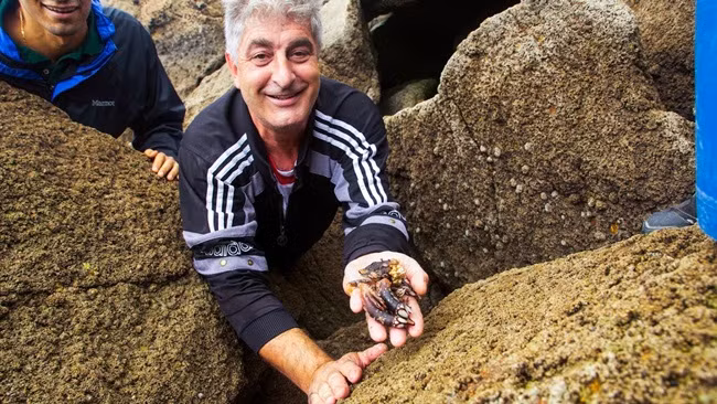 trong góm ghiéc nhu "ngon tay quỷ", ai ngò bán 4 triẹu/kg hinh anh 13