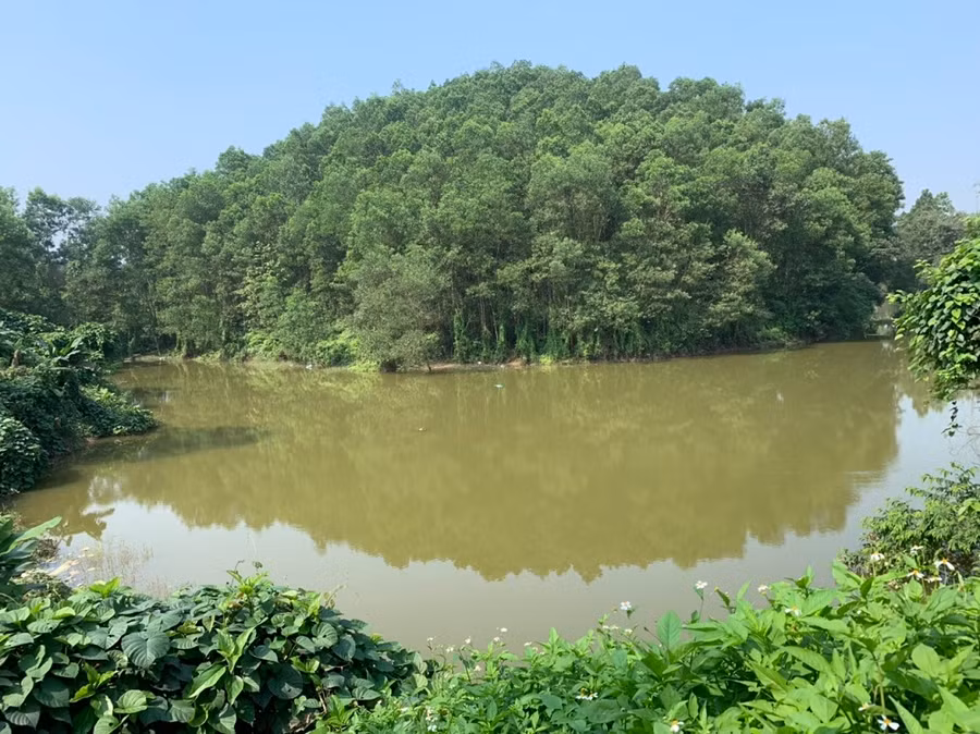 Diện tích đất hồ bị lấn chiếm