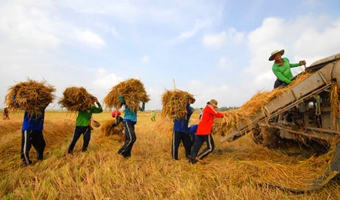 Nông nghiệp vẫn thiếu sức hút đầu tư