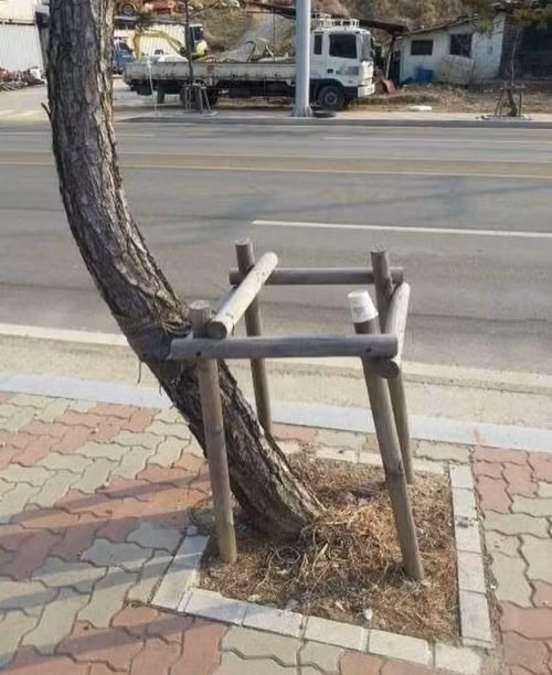 Người tính không bằng cây tính.