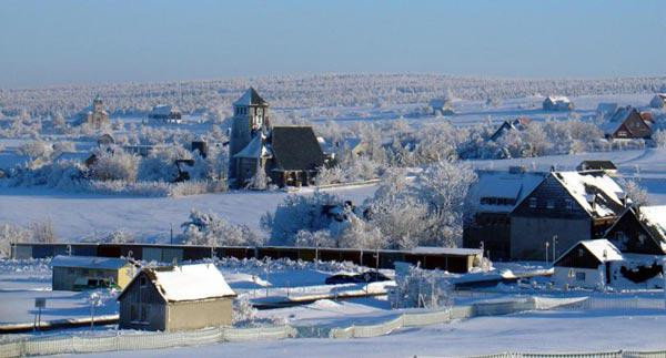 Phát hiện kho báu trị giá hơn 140 nghìn tỷ trong nhà nhưng không được hưởng ảnh 2 cap vo chong phat hien kho bau tri gia hon 140 nghin ty ngay trong nha nhung khong duoc huong - 2